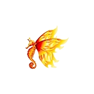 Fire Butterfly Seahorse